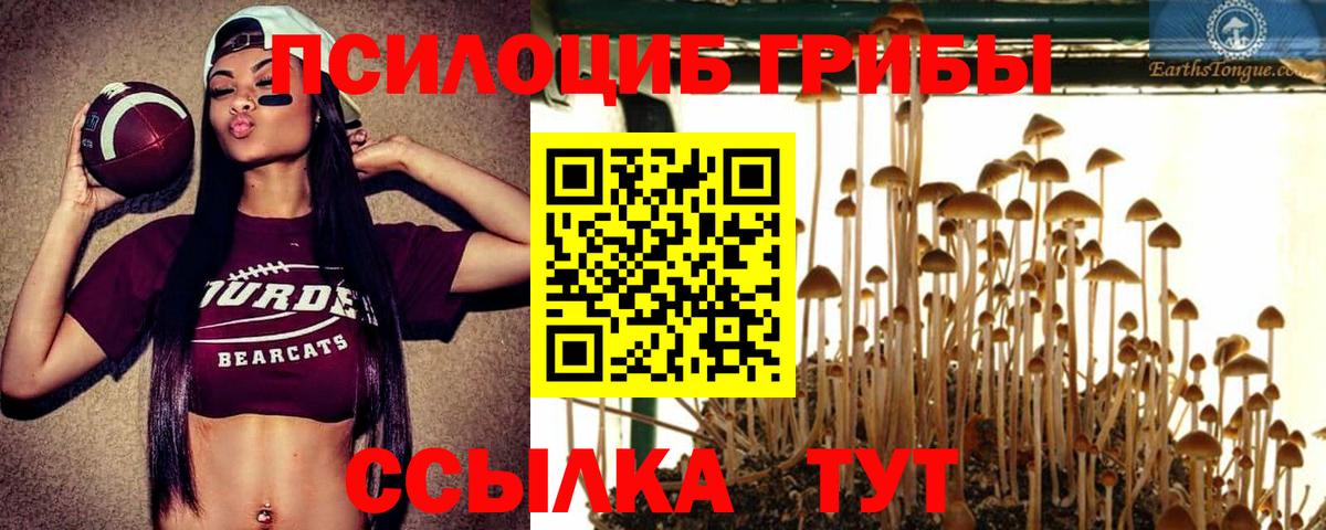 Псилоцибиновые грибы Magic Shrooms Егорьевск