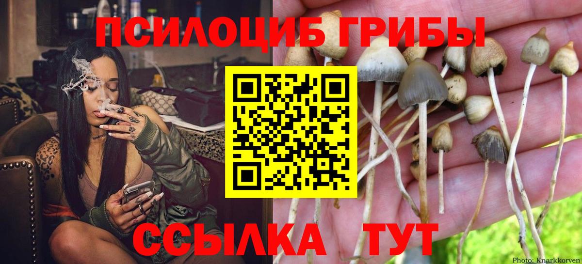 Галлюциногенные грибы прущие грибы  магазин продажи   Егорьевск  Вход с VPN 